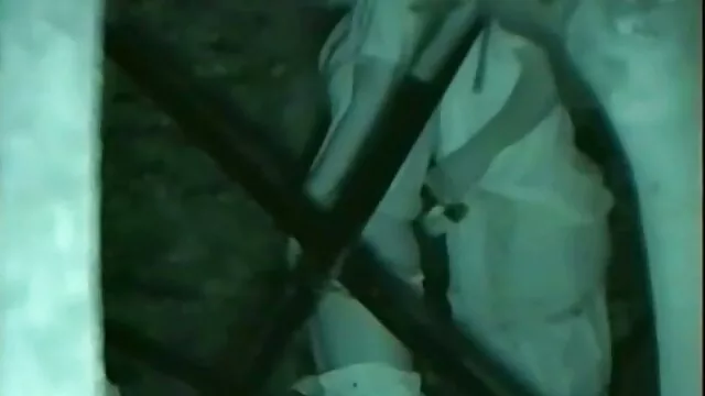 هر عکس سکشی متحرک دو گربه و بادمجان در گربه بودند