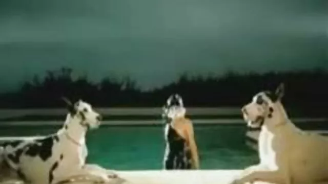 اولین از عکس پورن متحرک یک فاحشه جوان.