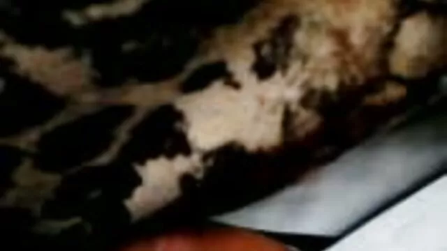 یار سکسی نوازش زبان و یک تصاوير متحرك سكسي عضو از