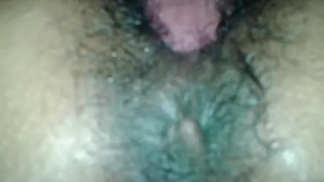 بالغ عمو راد از تصاویر متحرک سک سه پوره